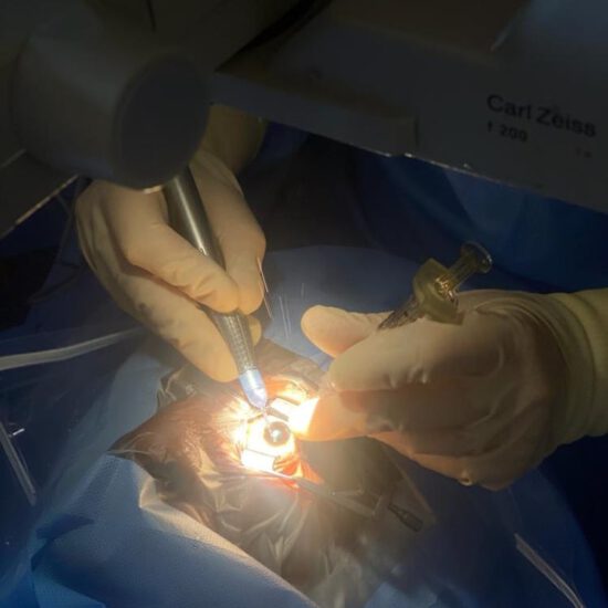 447eeceb-fd01-4852-895f-908a26fb33f7